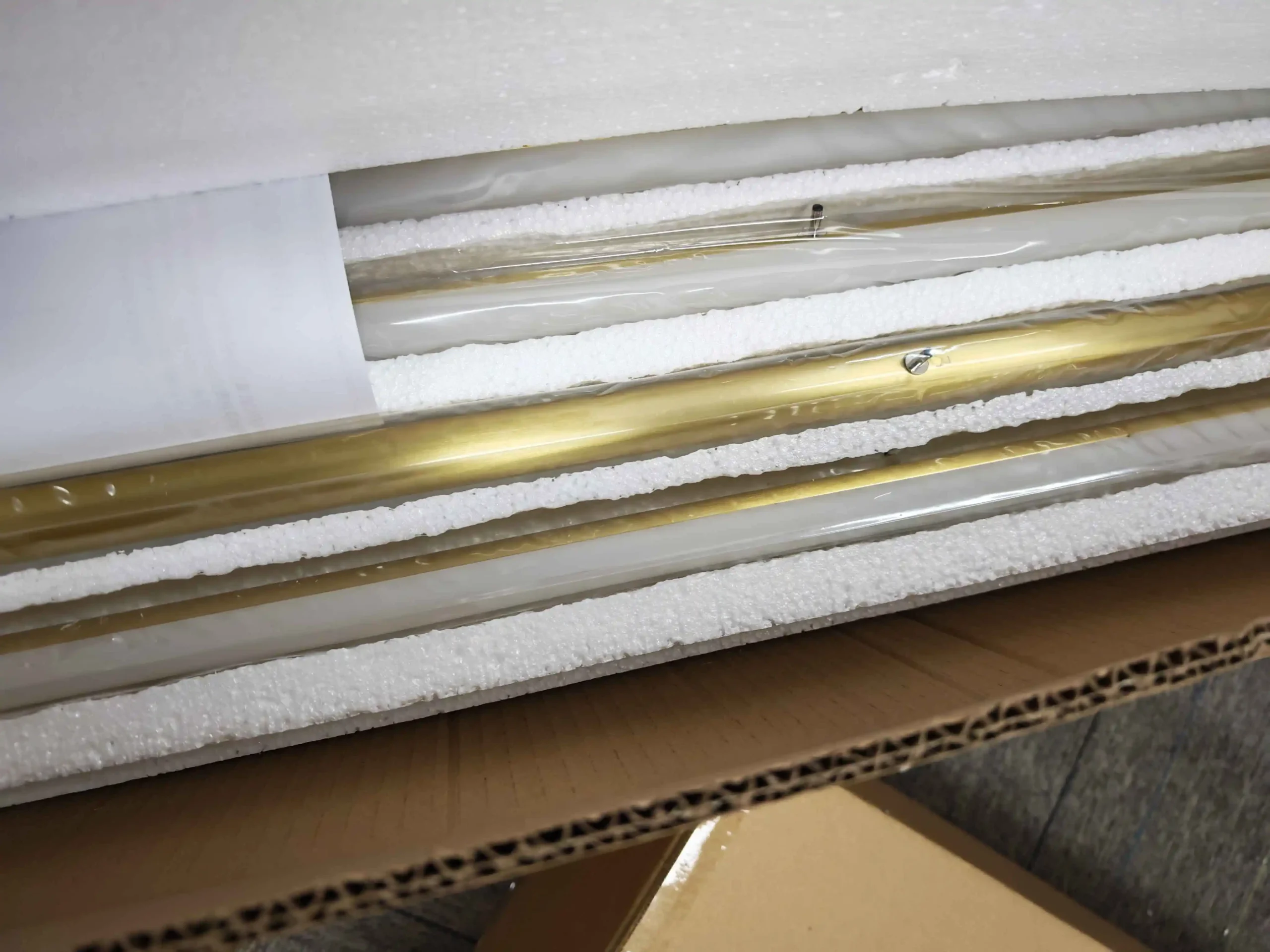 Review by Sara Schneider