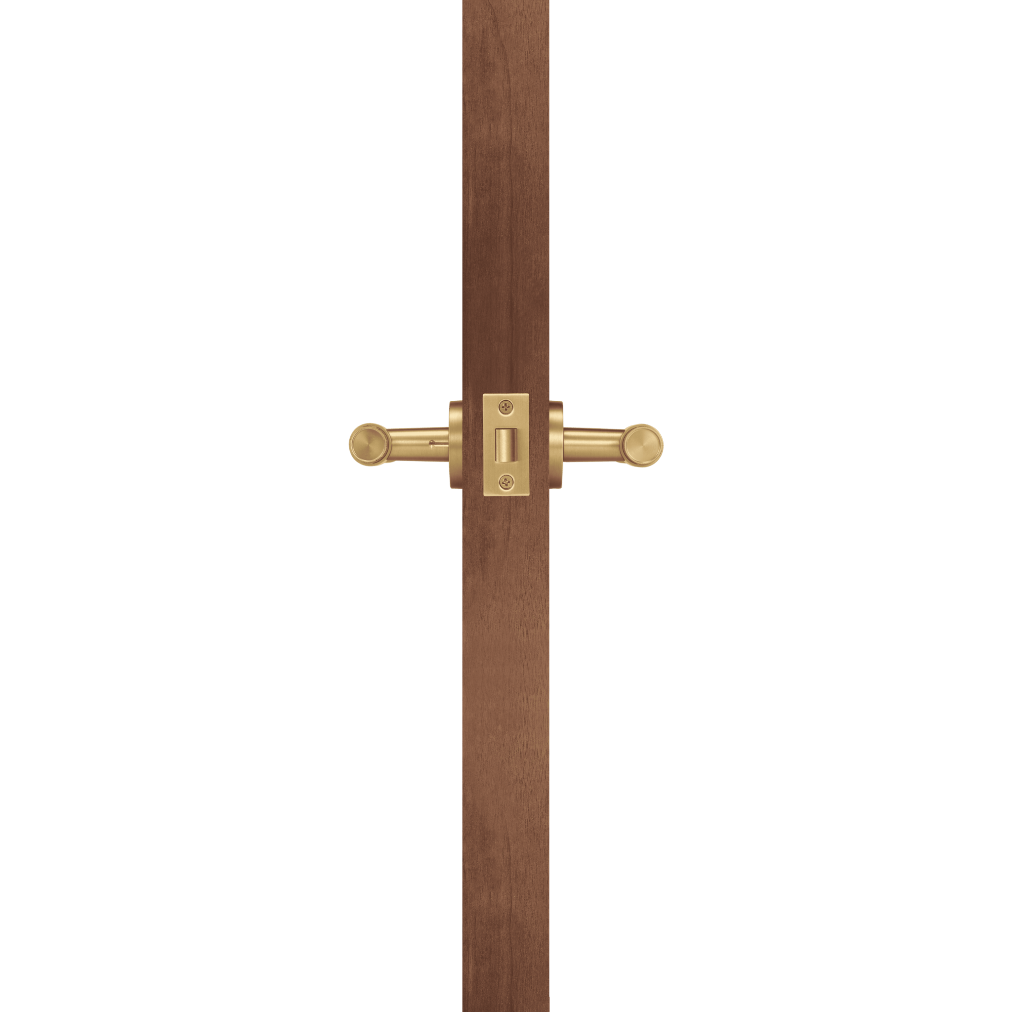 Satin Brass | Privacy (Rose Button)