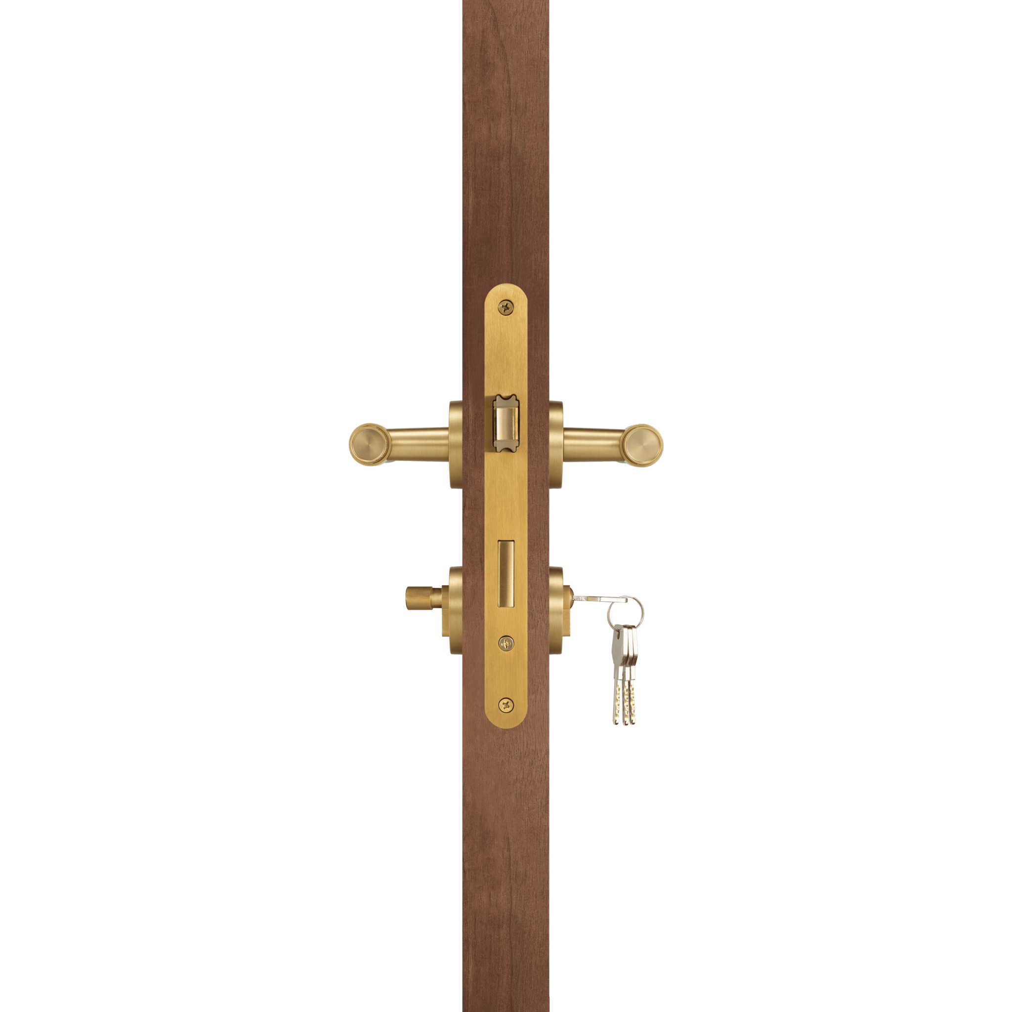 Satin Brass | Mortice (Key)