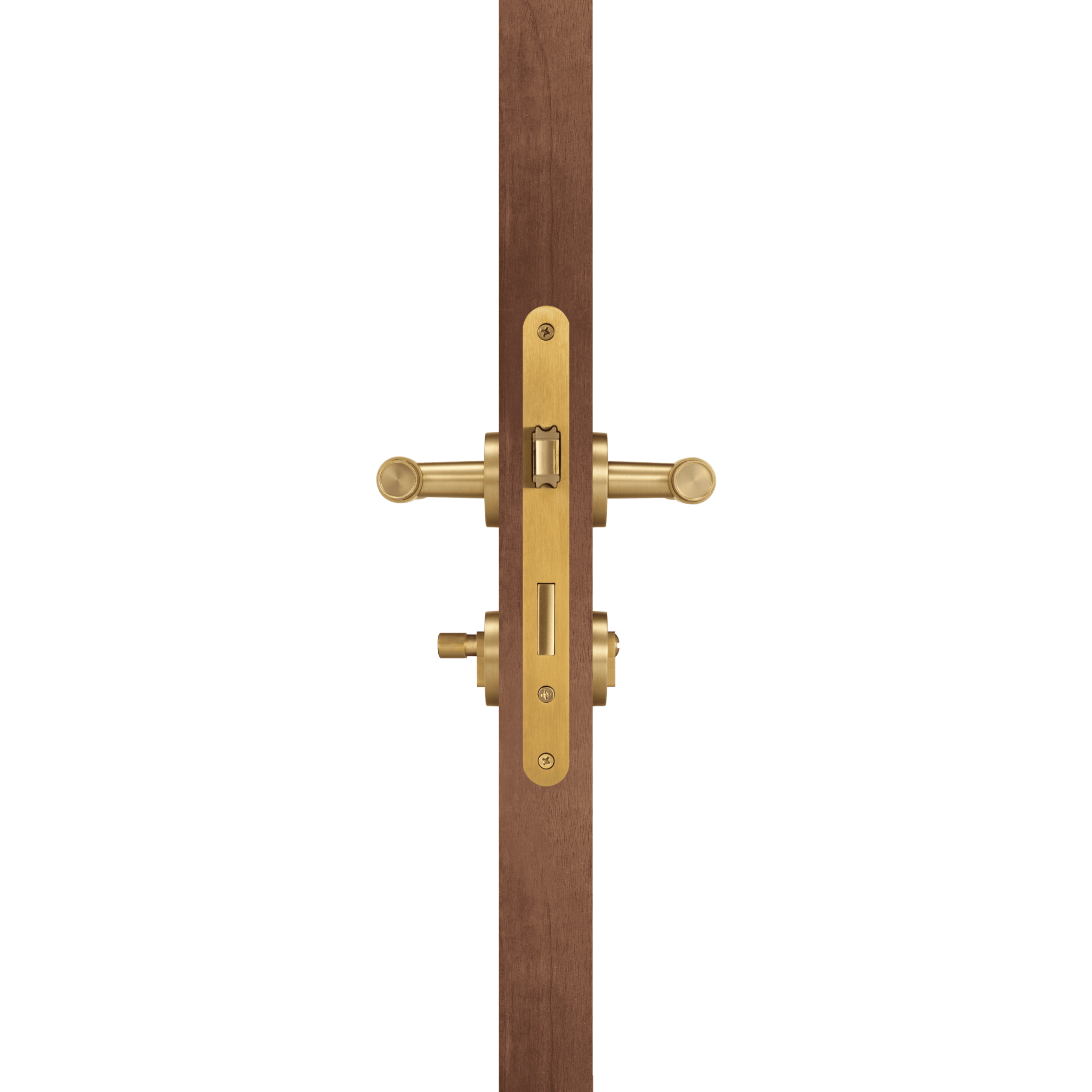 Satin Brass | Mortice (Thumbturn)